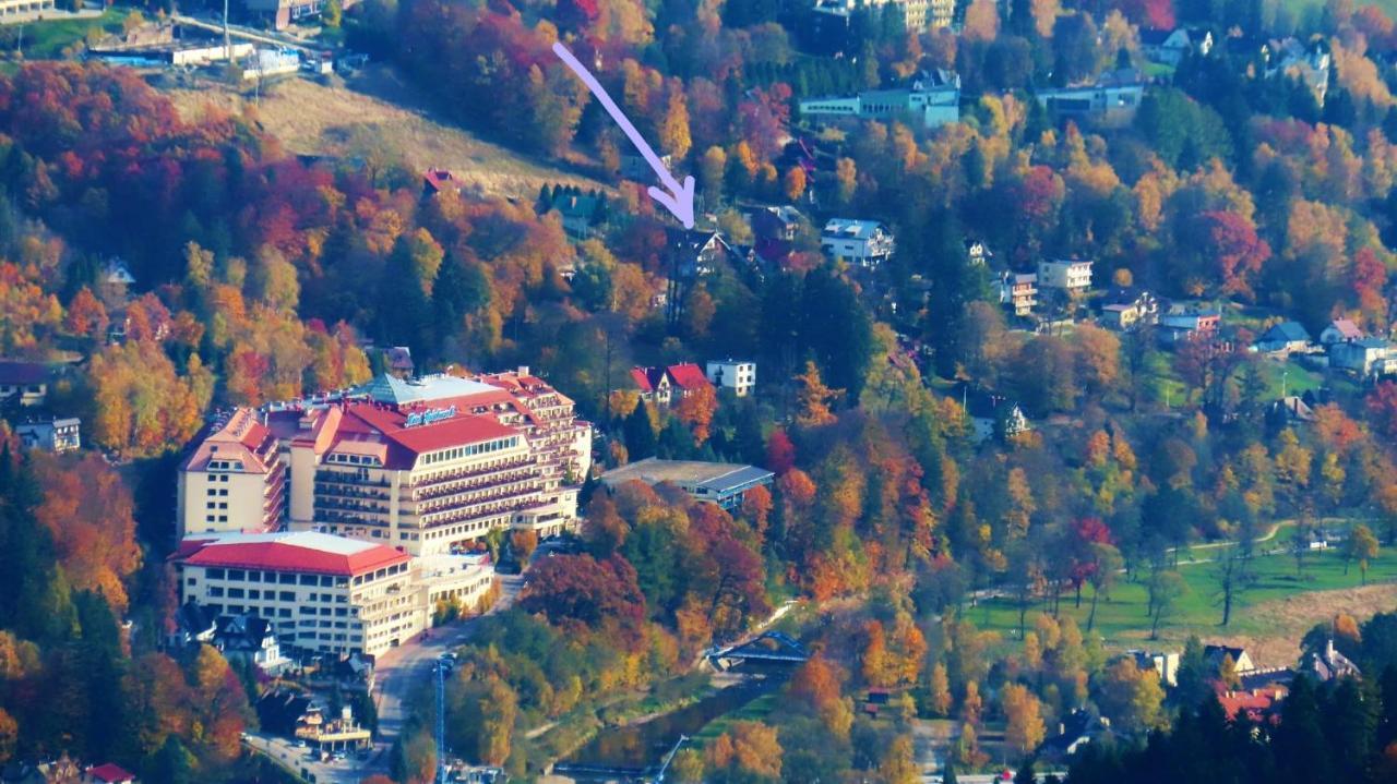 Czarna Owca Hotel Wisła Eksteriør billede
